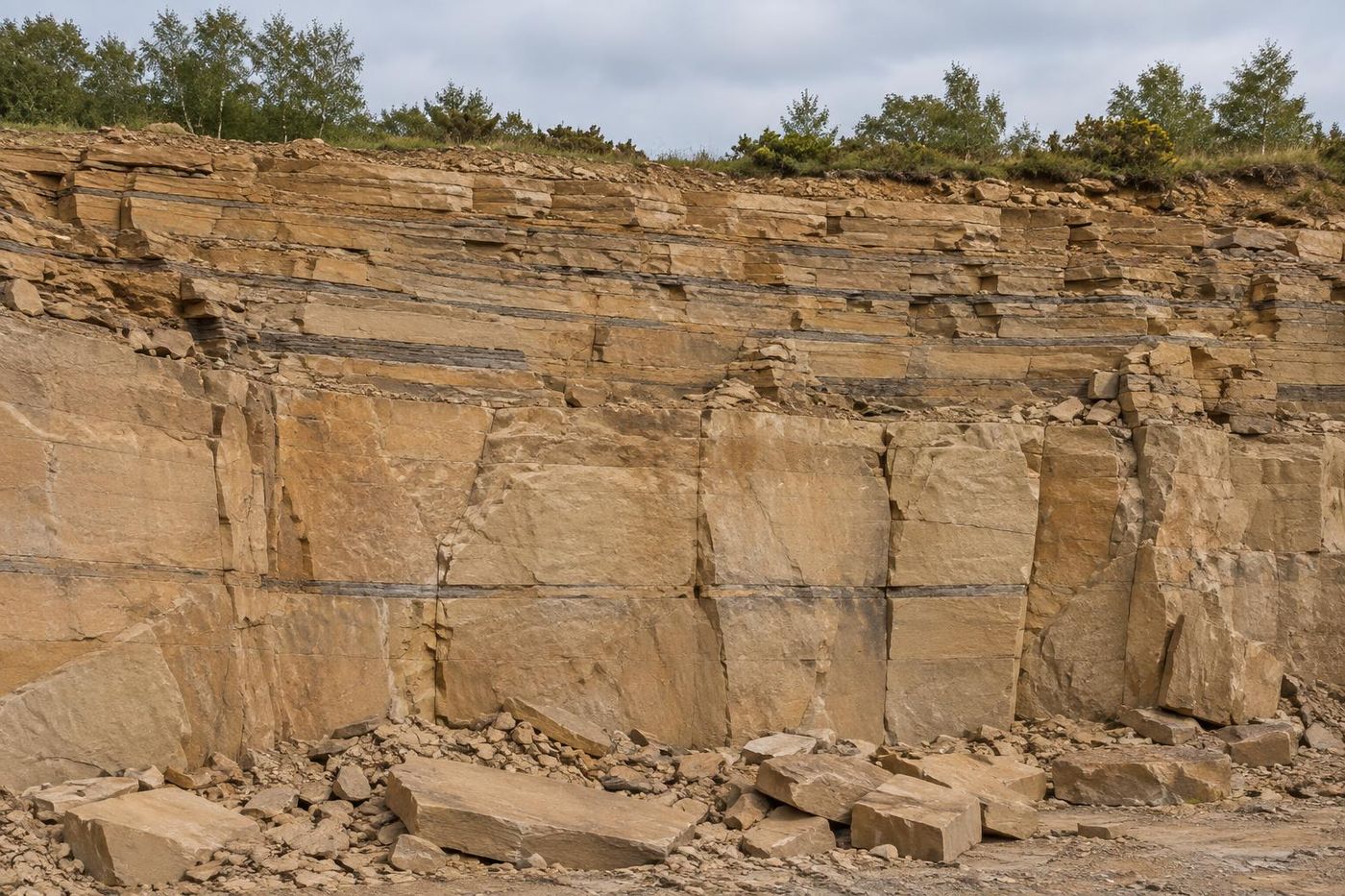 Close-medium view of a sandstone quarry face showing thin flat beds suited to walling stone above thicker massive beds, warm buff colour, overcast light, a few loose split slabs at the foot.