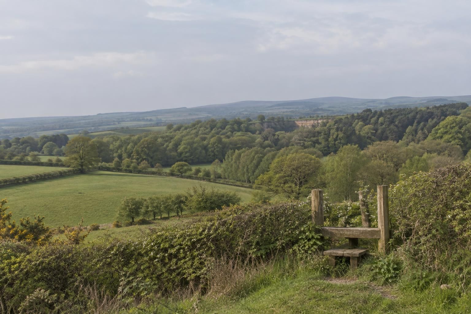 Rolling green Lancashire farmland with hedgerows and a belt of mature mixed woodland, a small quarry only hinted at by a pale sandstone edge glimpsed through the trees, a footpath stile in the foreground hedge, soft hazy morning light.